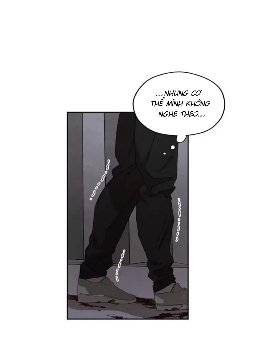 liveta chapter 33 69