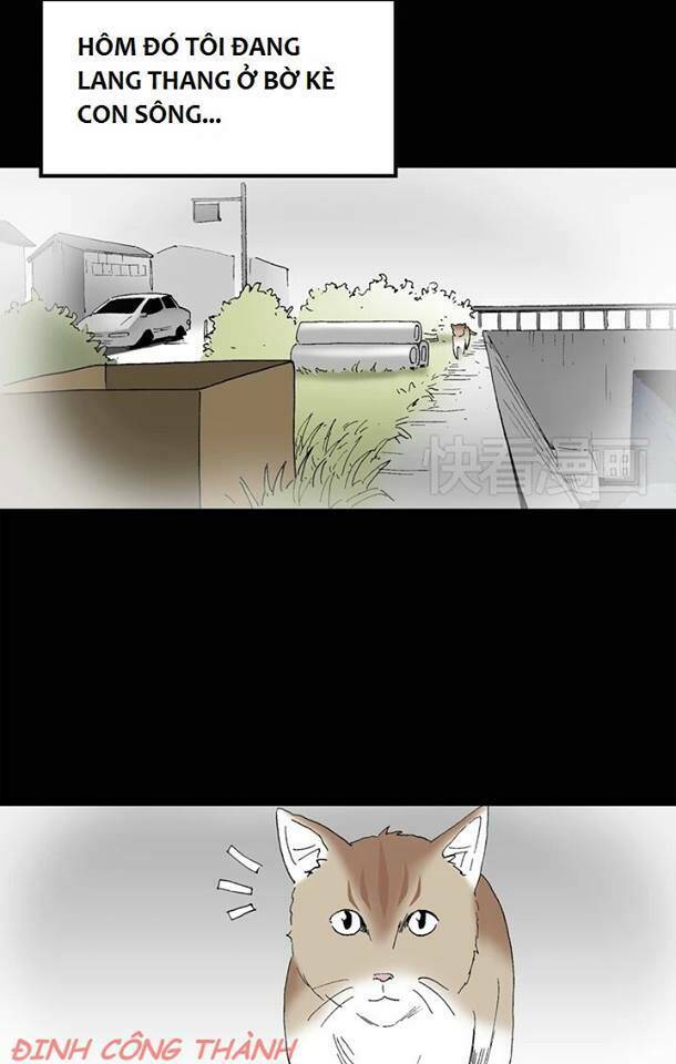 bút tiên chapter 10 5