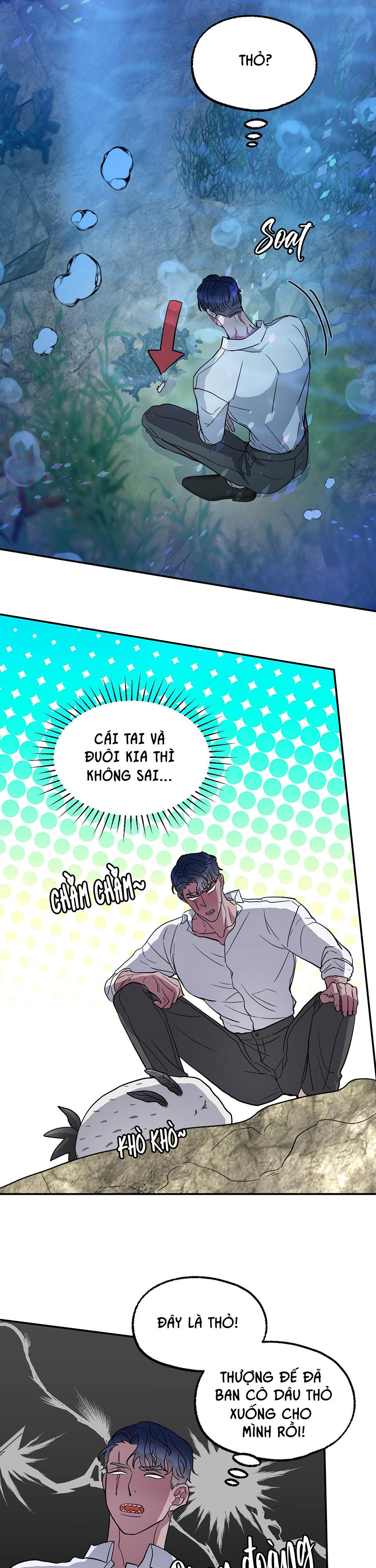 cá mập và cô dâu thỏ chapter 1 18