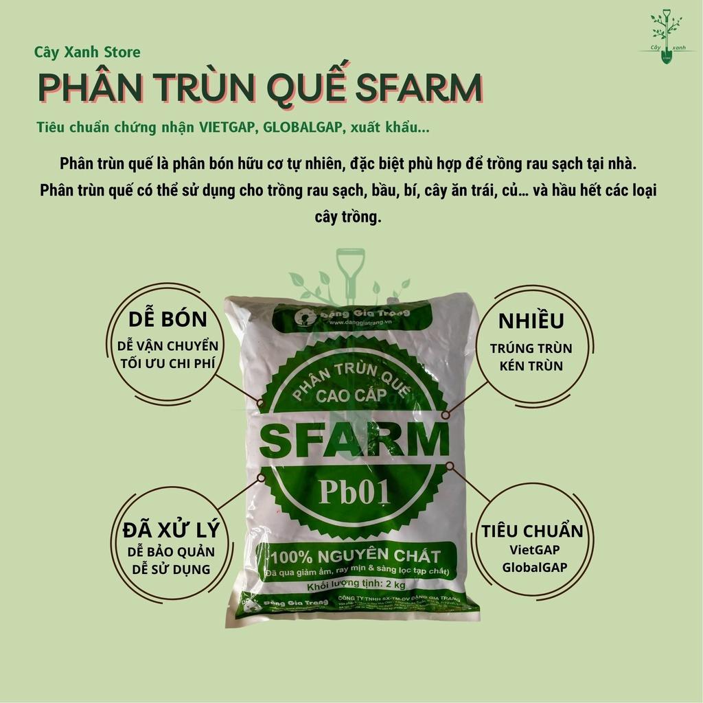 Phân Trùn Quế Cao Cấp Sfarm Dạng Bột 2kg Trộn Đất Trồng Rau Sạch, Hoa Kiểng Không Sợ Nóng, Hư Cây Khi Bón Nhiều