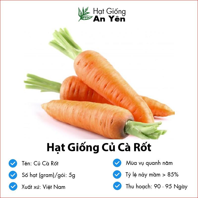 Hạt giống Củ Cà Rốt to thu hoạch sớm, dễ trồng, nảy mầm cao, sinh trưởng khoẻ