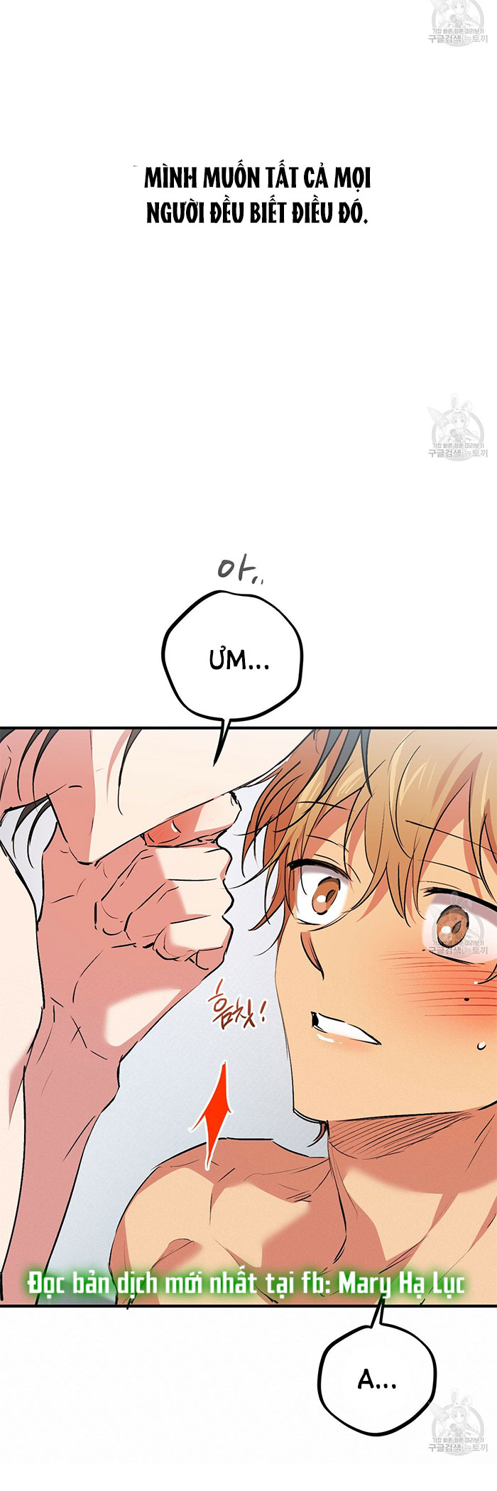 những chú thỏ của hapypy chapter 43 26