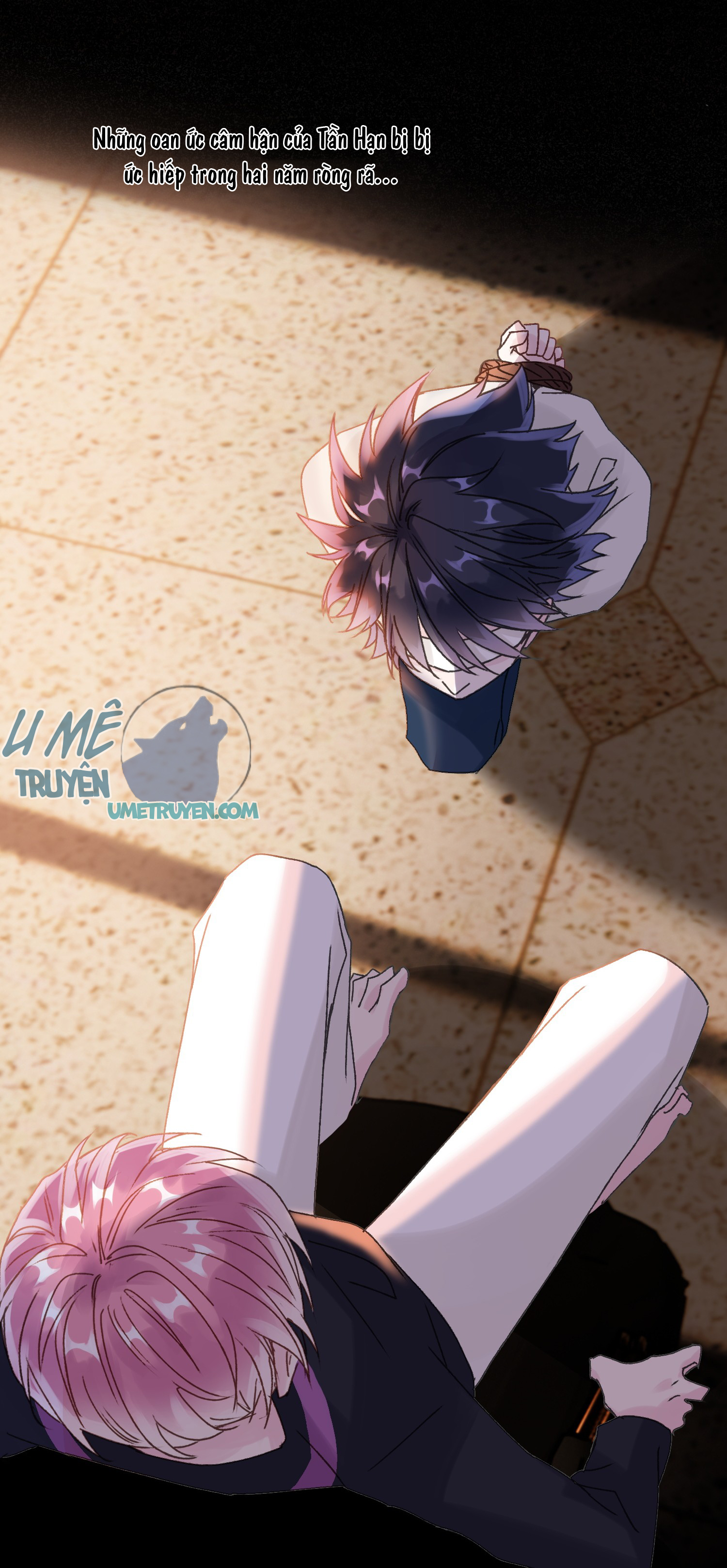 tôi phải làm một kẻ đại xấu xa chapter 11 3