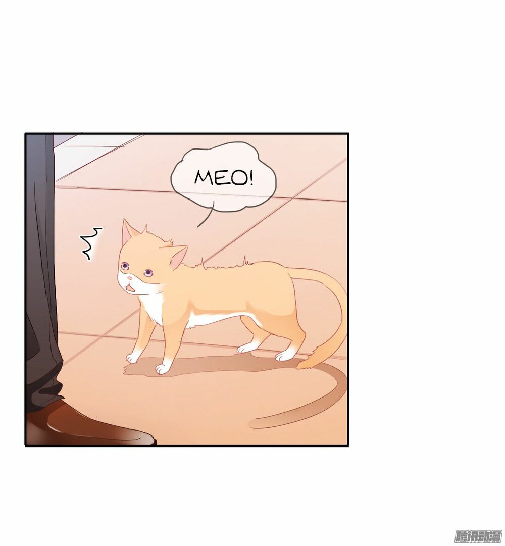 bay qua thiên sơn đến yêu anh chapter 20 41