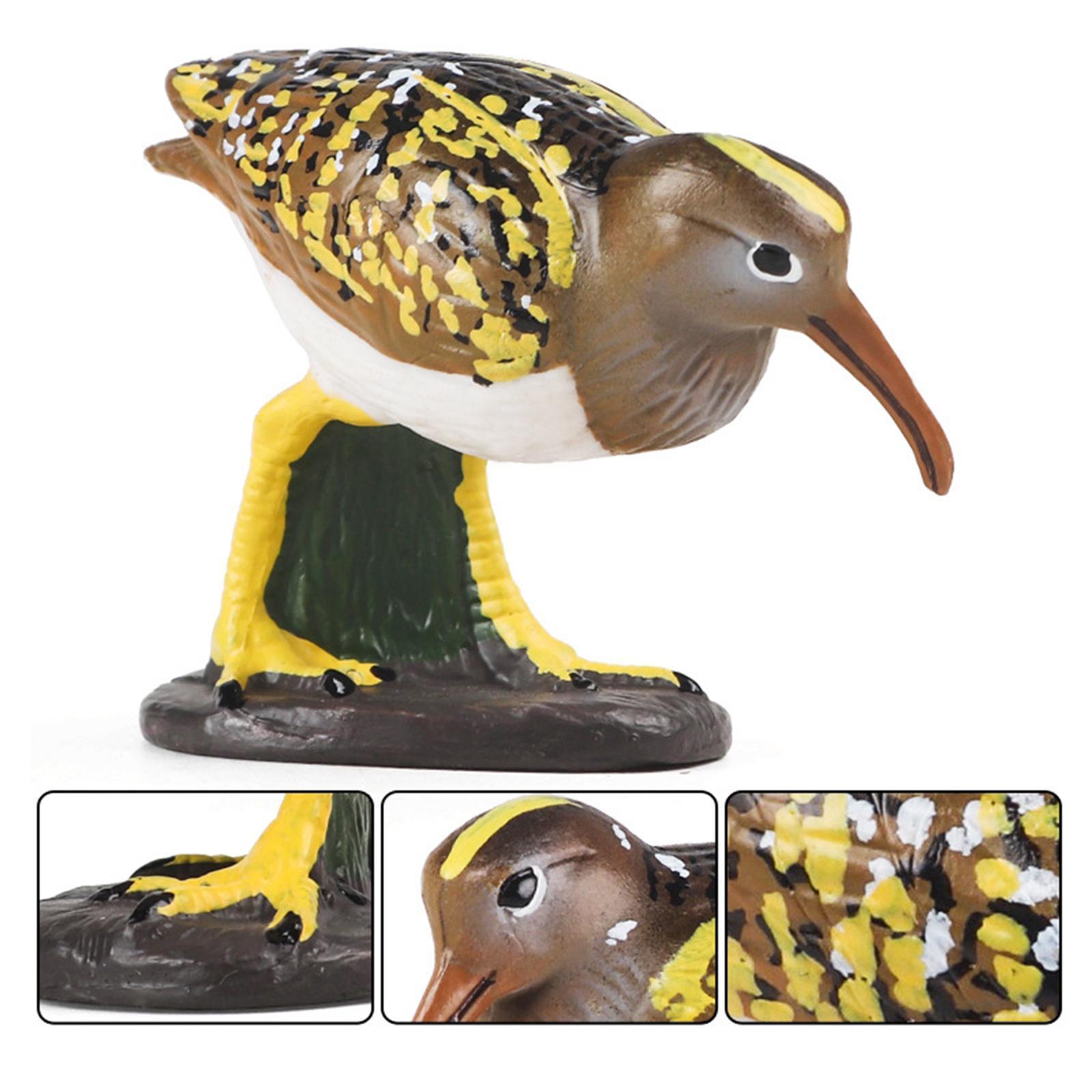 Durable Bird Figurine Ornament Fine Workmanship Bird Statue for Bookshelf Desktop
