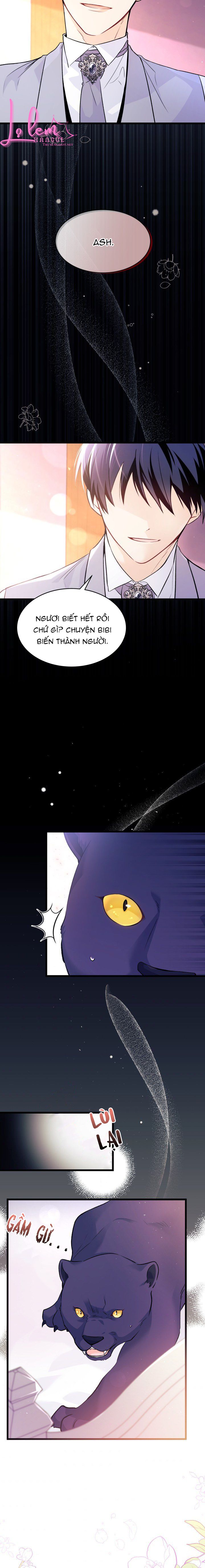 mối liên kết giữa báo đen và bé thỏ chapter 40.2 10