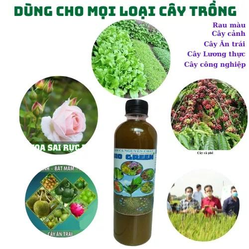 Phân bón hữu cơ đạm cá BIOGREEN 500ml cho hoa hồng, đạm cá cho lan, cung cấp dưỡng chất cho cây phát triển, tăng cường đ