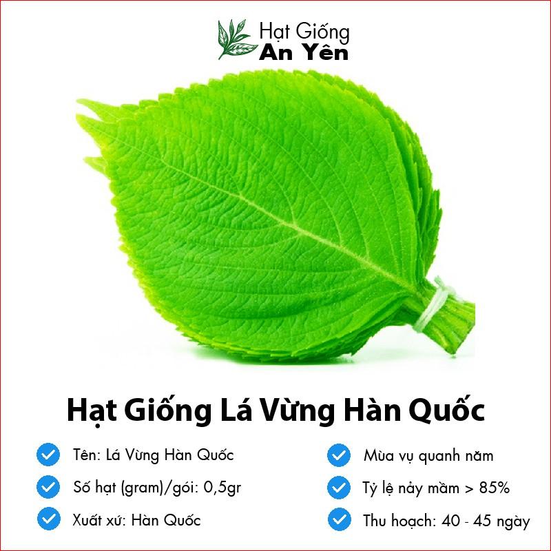 Hạt giống Lá Vừng Hàn Quốc, thu hoạch sớm, dễ trồng, nảy mầm cao, sinh trưởng khoẻ,