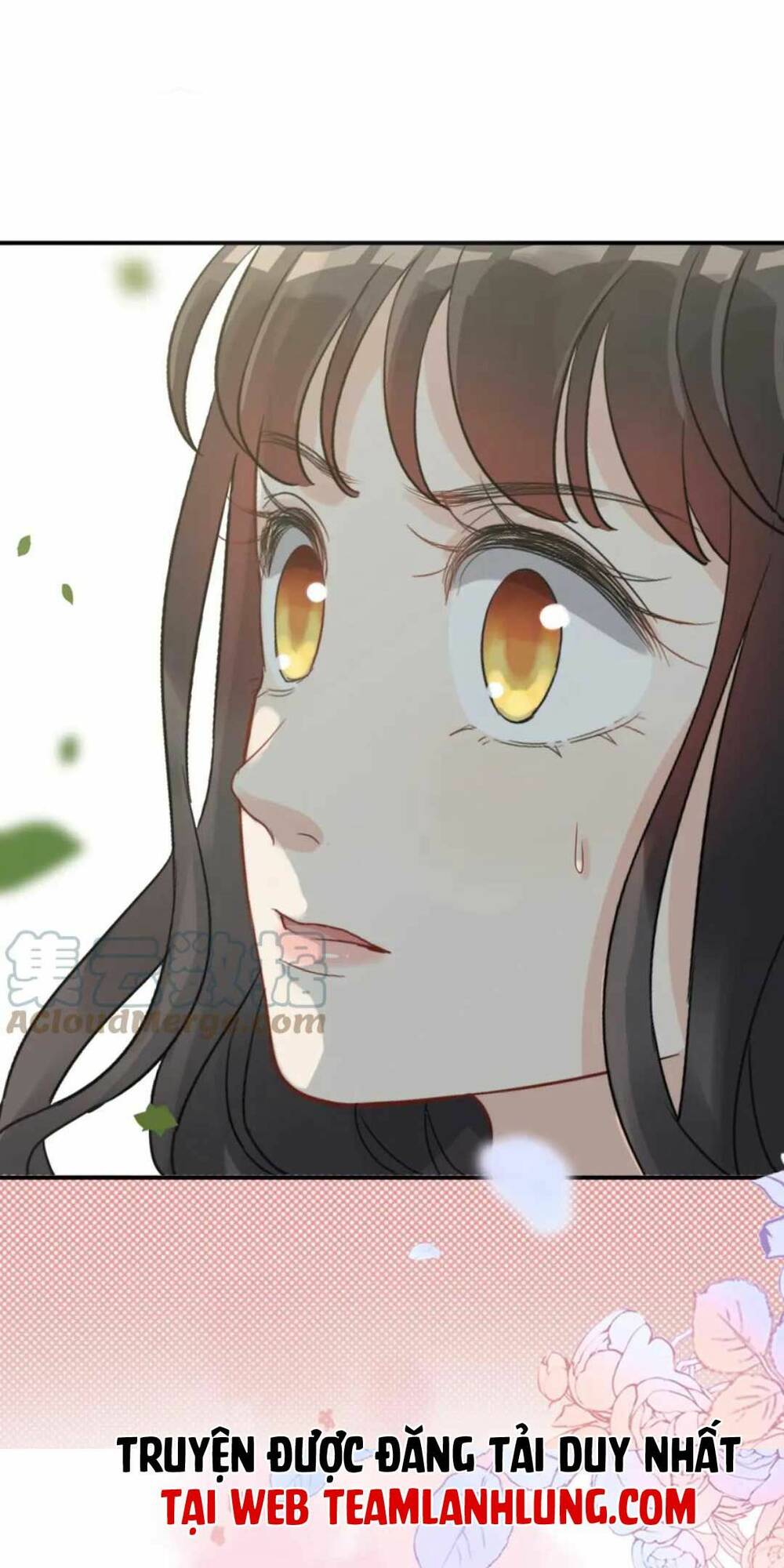 cô vợ hợp đồng bỏ trốn của tổng giám đốc chapter 487 45