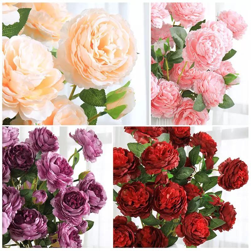 Cành hoa mẫu đơn Paeonia cao 61cm trang trí nhà cửa