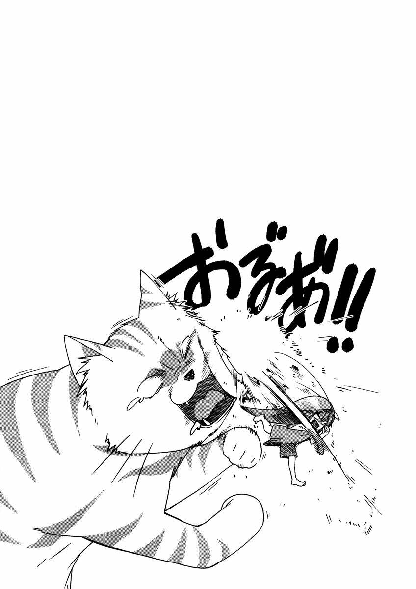 gokiburi gijinka - bé gián moe chapter 26 11