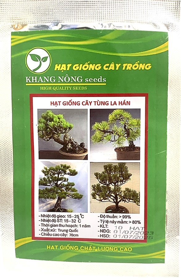 Hạt Giống Tùng La Hán - Gói 10 hạt
