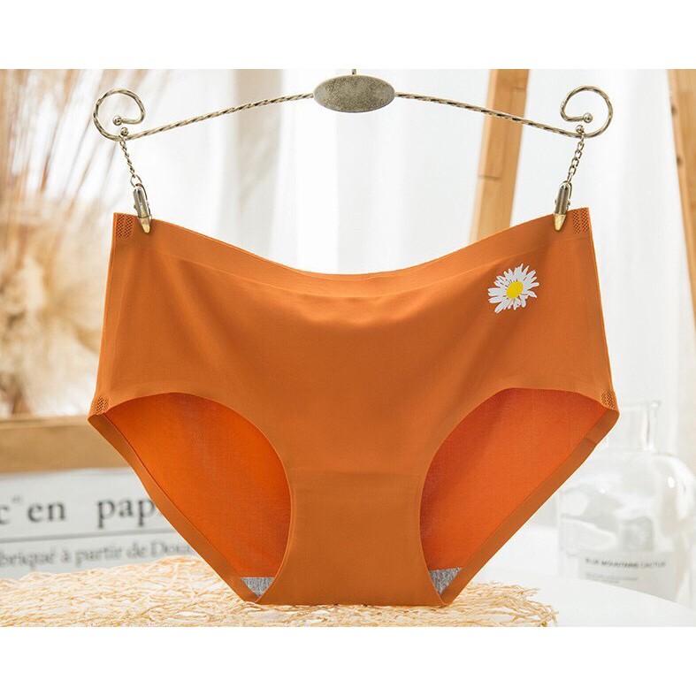 Sỉ 10 quần su trơn hoa cúc_Chất Thun Lạnh, Cạp Ép Không Viền