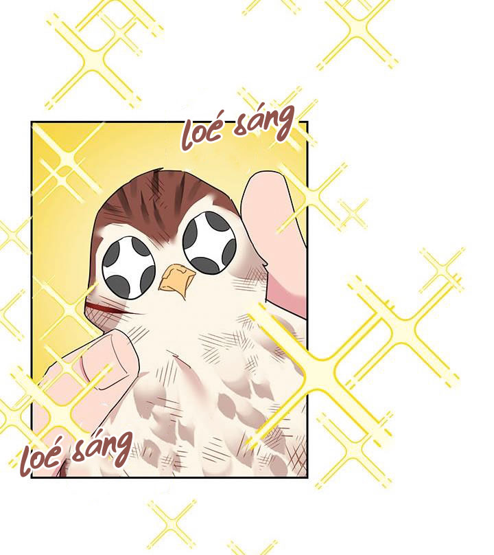 công chúa của loài chim chapter 12 77