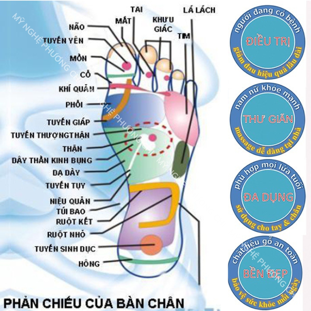 Búa gõ huyệt chân đầu tròn và nhọn MB3, búa bấm huyệt day ấn huyệt bằng gỗ thơm | Mỹ Nghệ Phương Chi