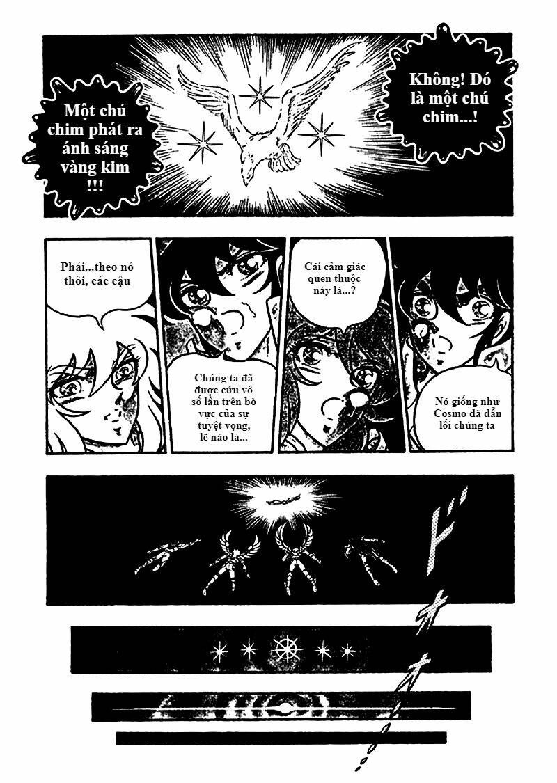 áo giáp vàng: zeus chapter 5 16