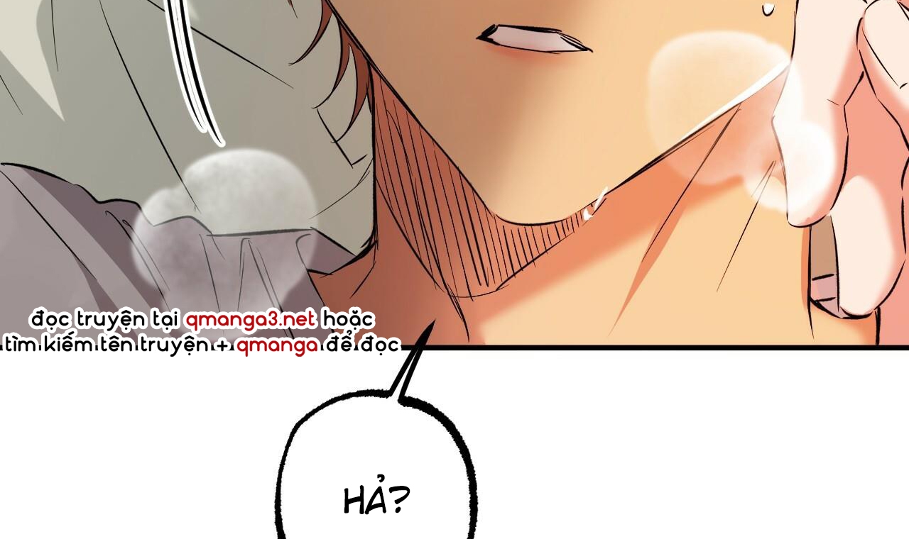 những chú thỏ của hapypy chapter 53 245