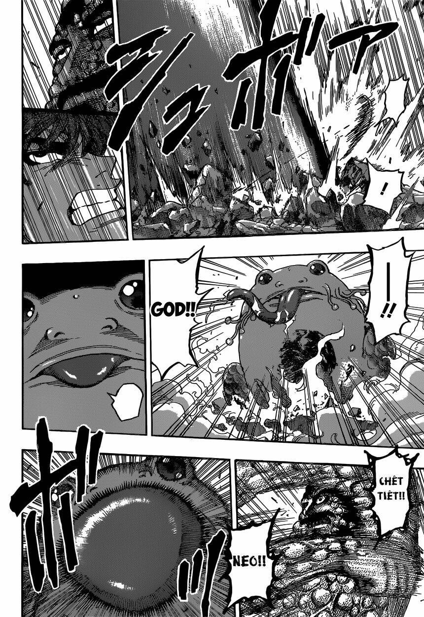 thợ săn ẩm thực chapter 374 8