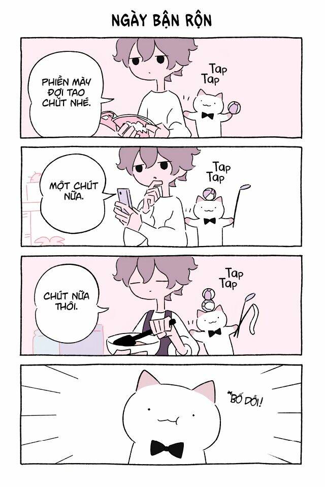 chú mèo kỳ diệu kyuu-chan chapter 563 2