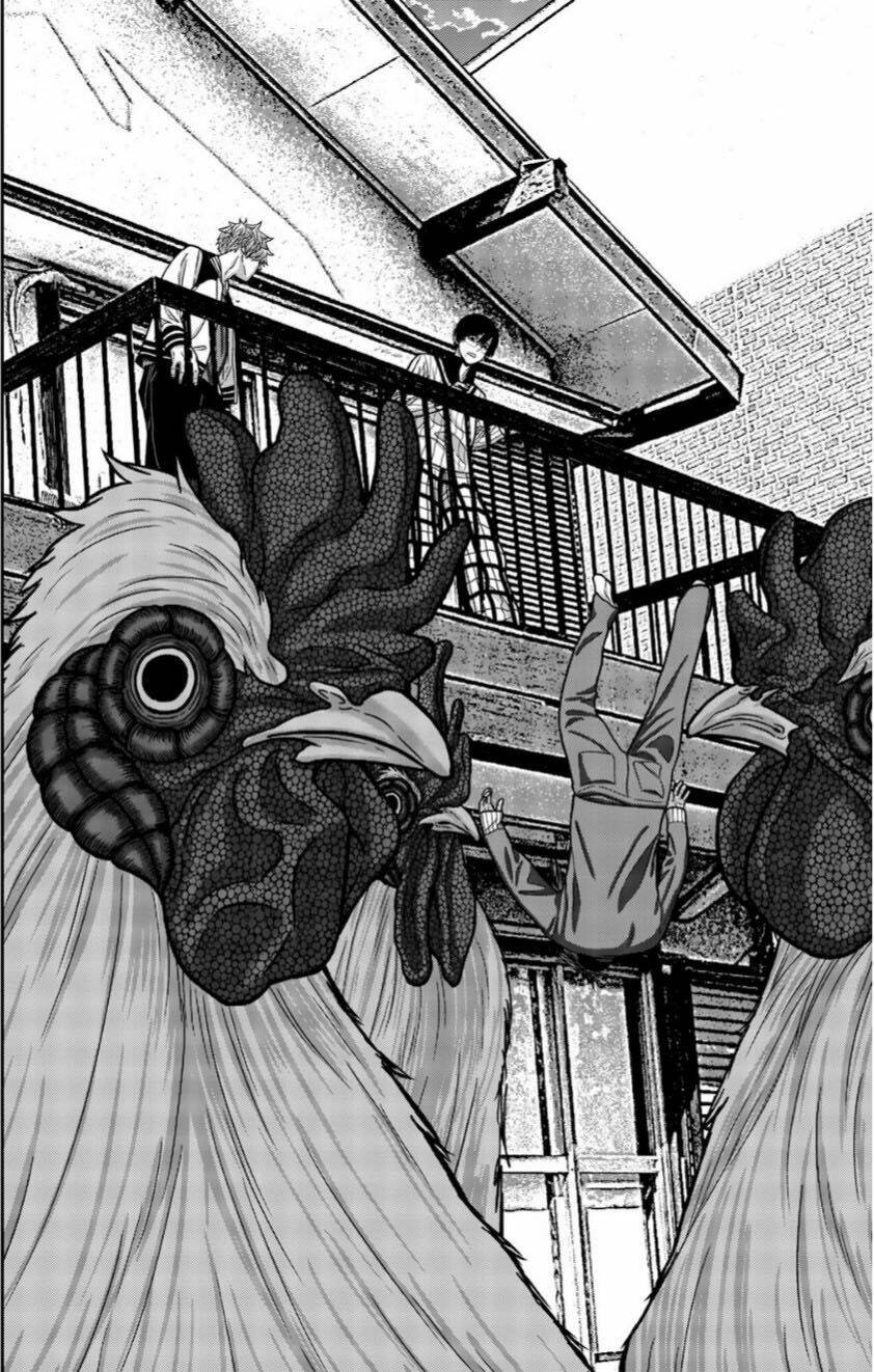 tiếng gáy sát thủ chapter 13 14