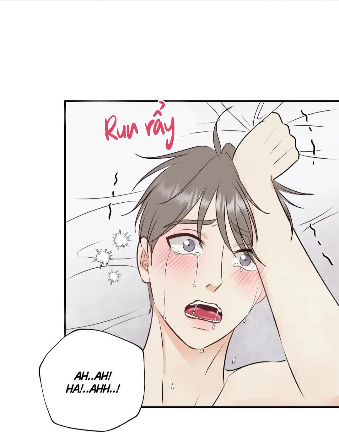 hạnh phúc trọn vẹn chapter 23 23