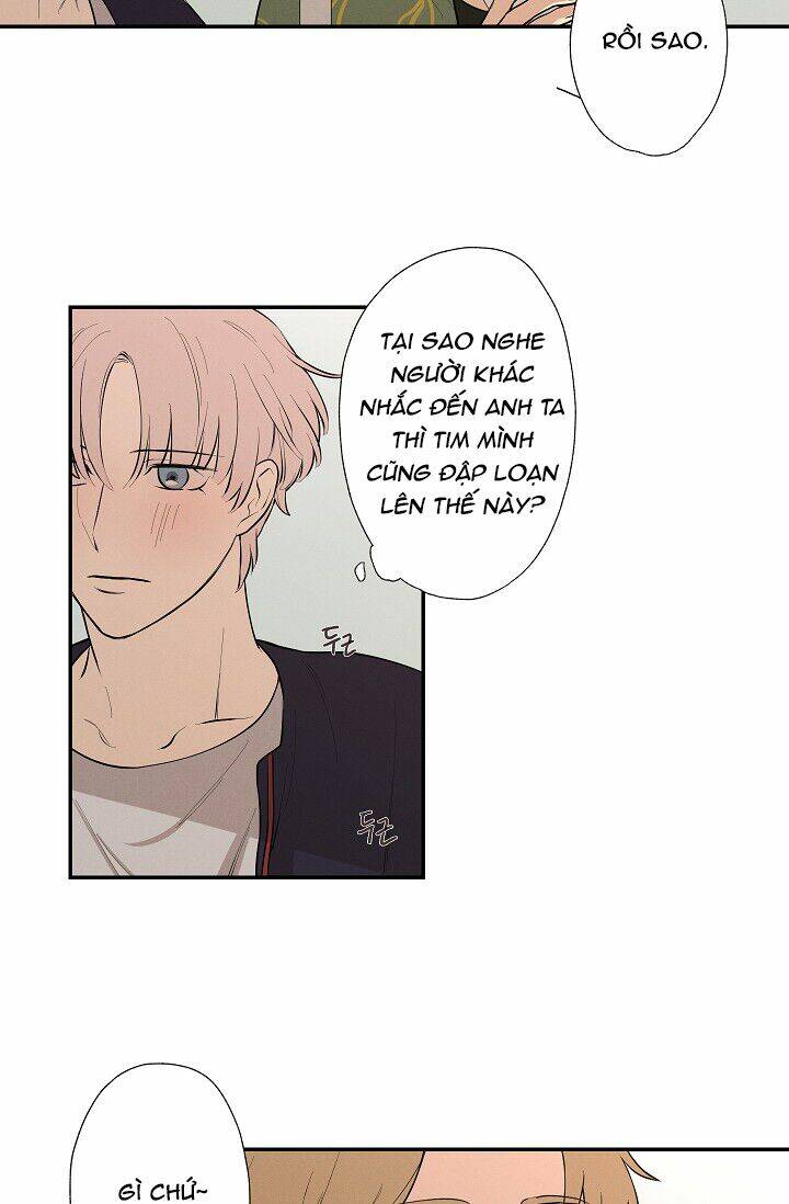 trốn tìm chapter 19 21