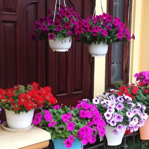 Chậu trồng cây có hoa văn trang trí 15cm, 20cm, 24cm