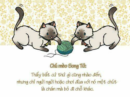 12 cung hoàng đạo vui chapter 22 7