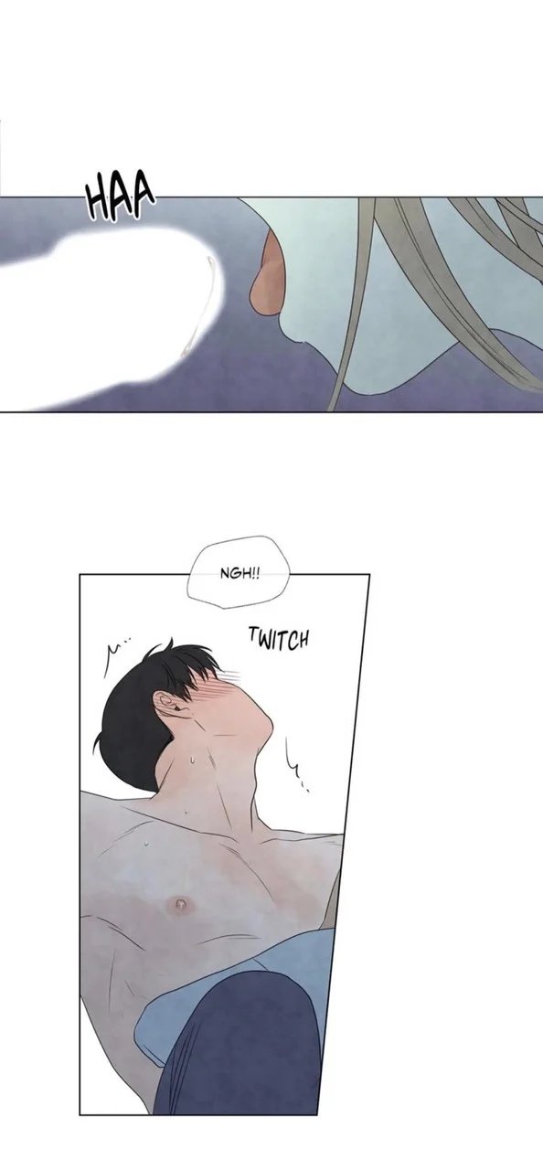 summer solstice point chapter 23 25