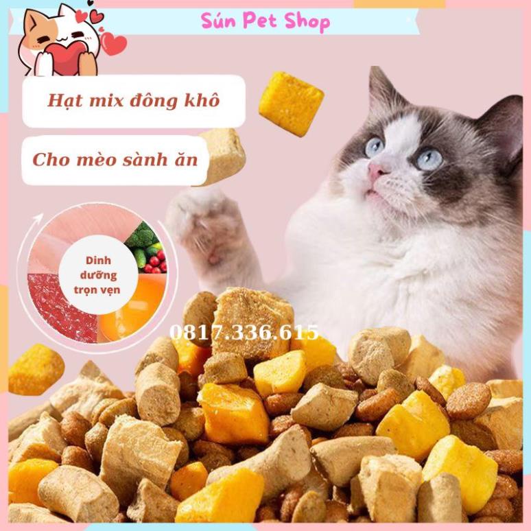 Hạt mix cao cấp cho mèo trộn thịt bò, gà, tôm, cá, lòng đỏ trứng, rau củ quả - Thức ăn hạt cho mèo kén ăn