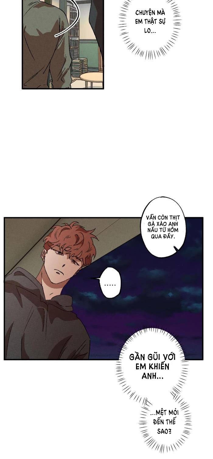 bẫy kép chapter 21.2 14