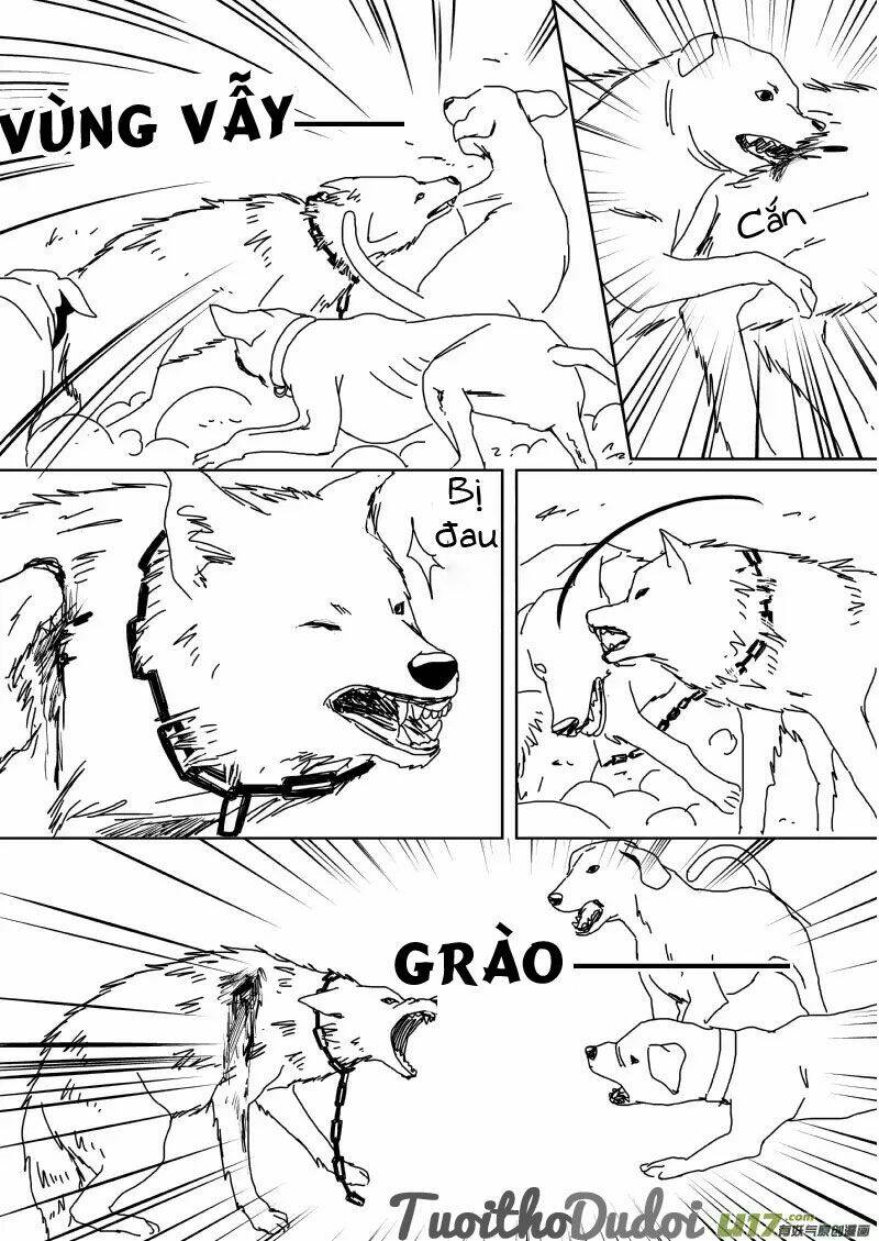 sự mê hoặc của sói chapter 39 7