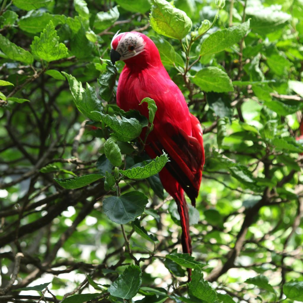 3 Parrot Statue Ornament Tree Standing Animal Sculpture Home Decor 35cm