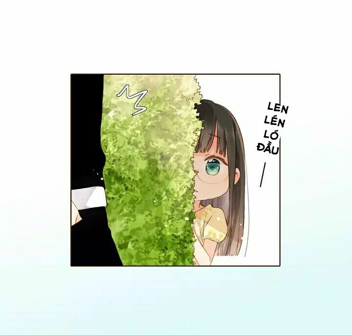 Tình yêu là màu hoa anh thảo chapter 28.2 28