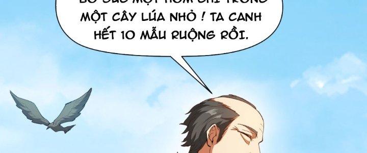 ẩn cư mười vạn năm, đời sau mời ta rời núi chapter 32 175