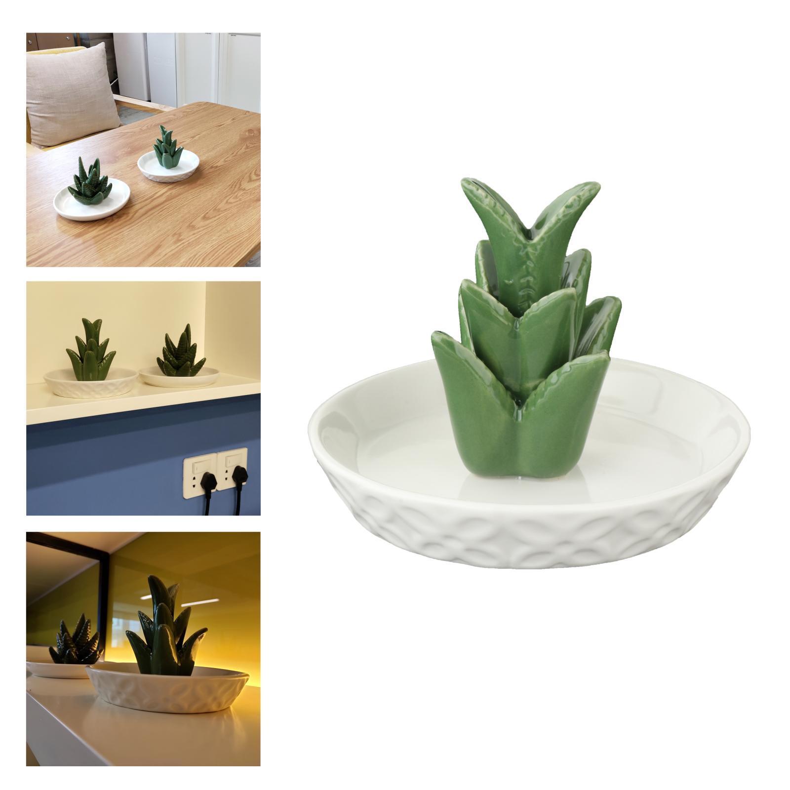 Ceramic Aloe Jewelry Holder Tray Earrings Organizer Decor Gift