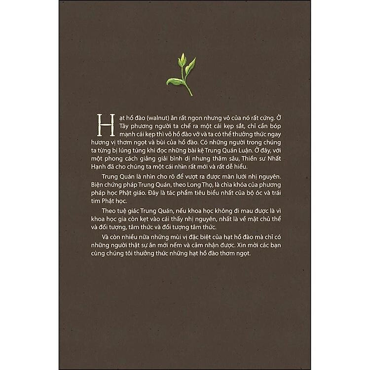 Đập Vỡ Vỏ Hồ Đào