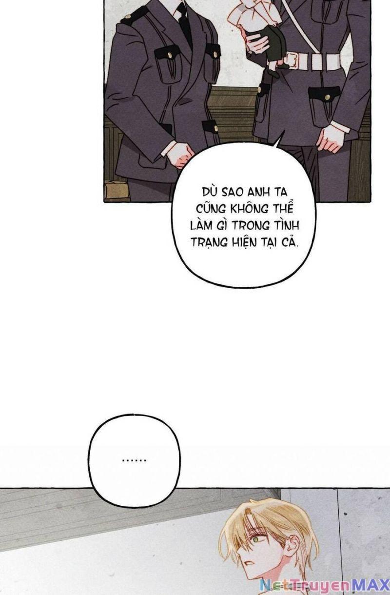 nuôi dưỡng một hắc long chapter 68.2 6