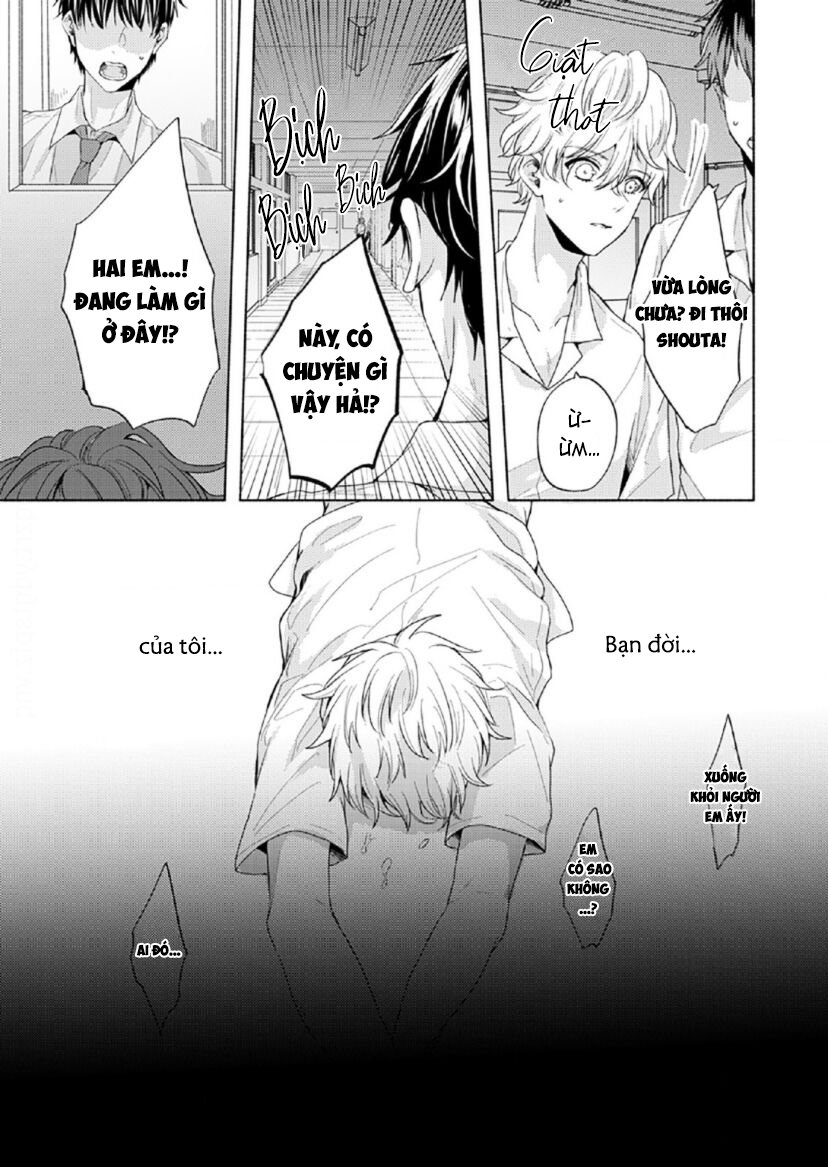 vết cắn tình đầu chapter 4 19