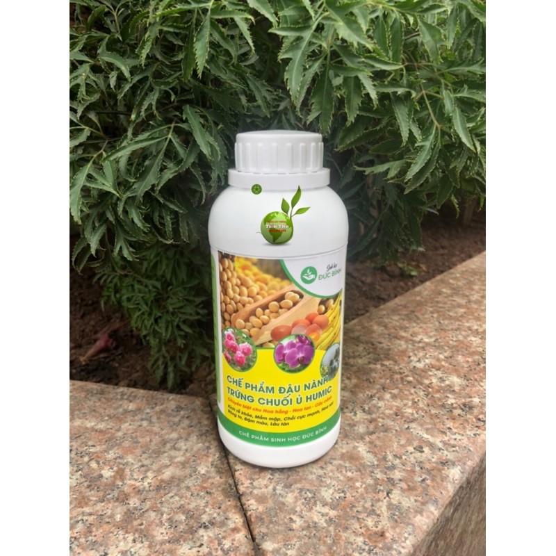 CHẾ PHẨM ĐẬU NÀNH TRỨNG CHUỐI Ủ HUMIC