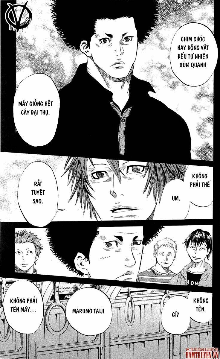 sugarless chapter 16 19