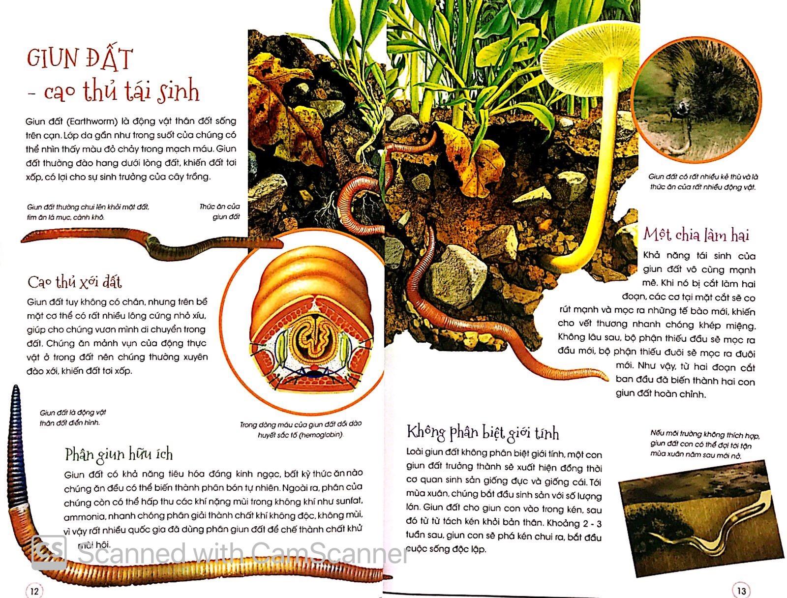 Sách Động Vật Kỳ Quặc