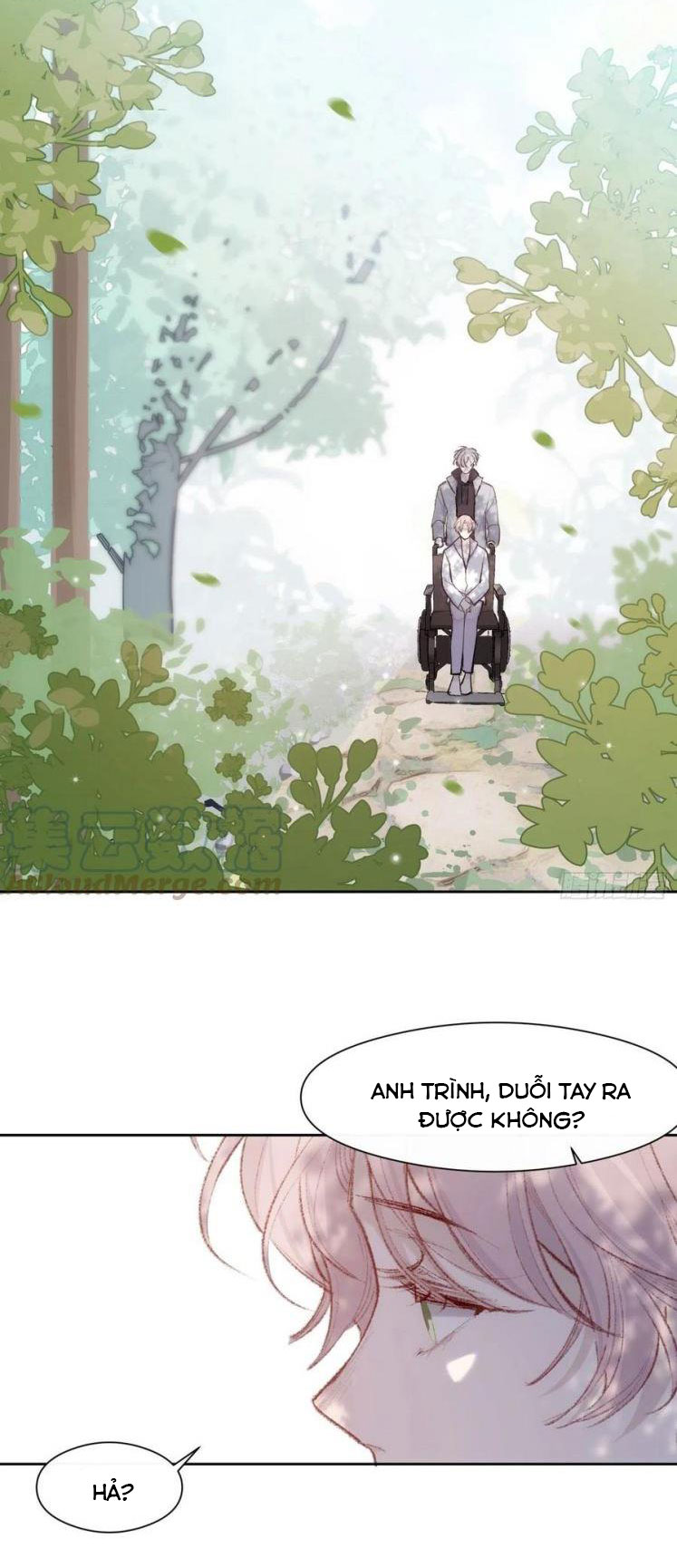 Di Sản Chia Đôi chapter 28