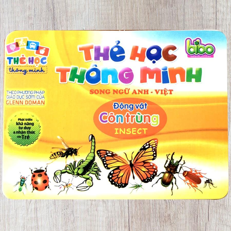 Thẻ Học Song Ngữ Anh-Việt cho bé Chủ Đề Côn Trùng