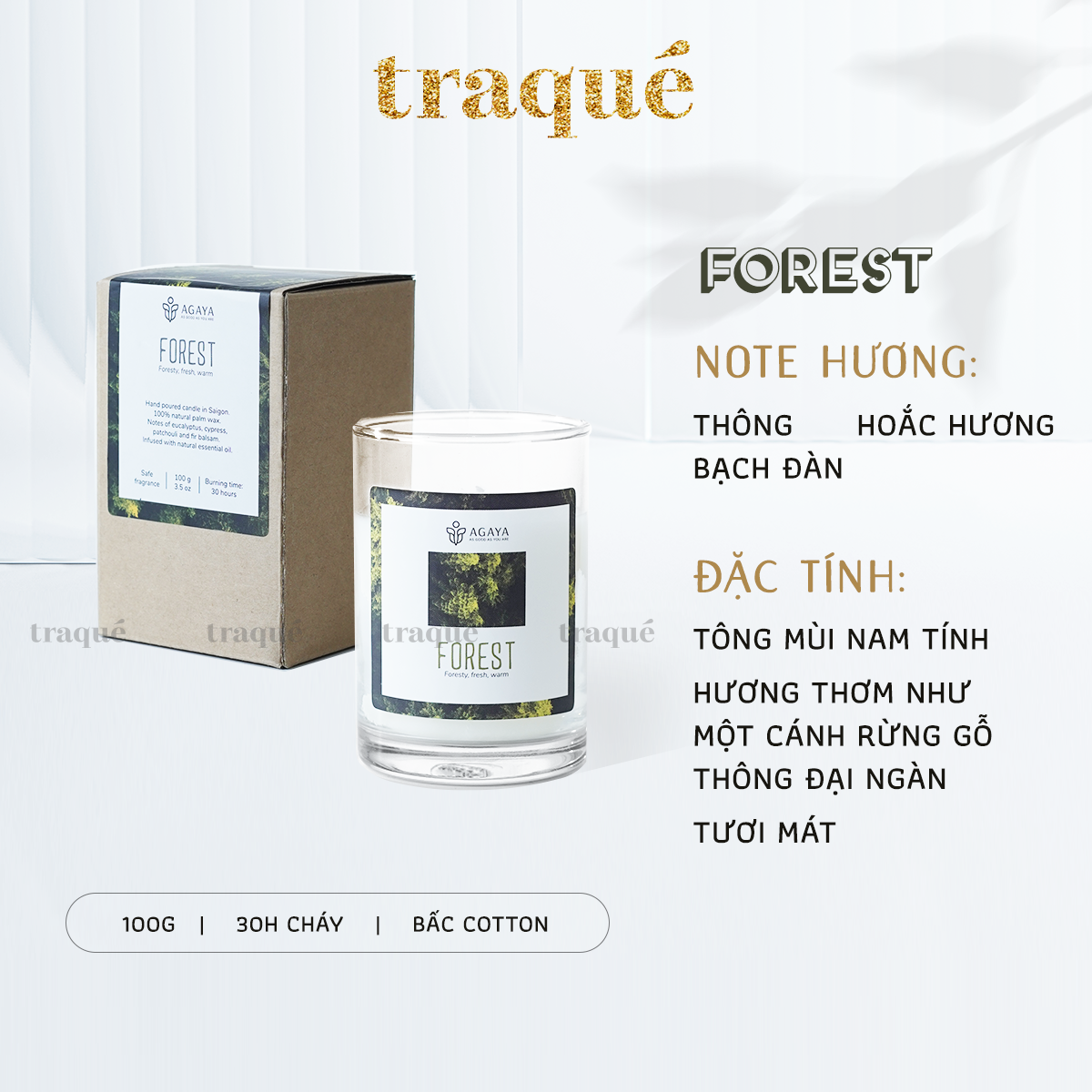 Nến thơm tinh dầu cao cấp không khói an toàn Candle Cup - FOREST/HƯƠNG RỪNG - S - 100G