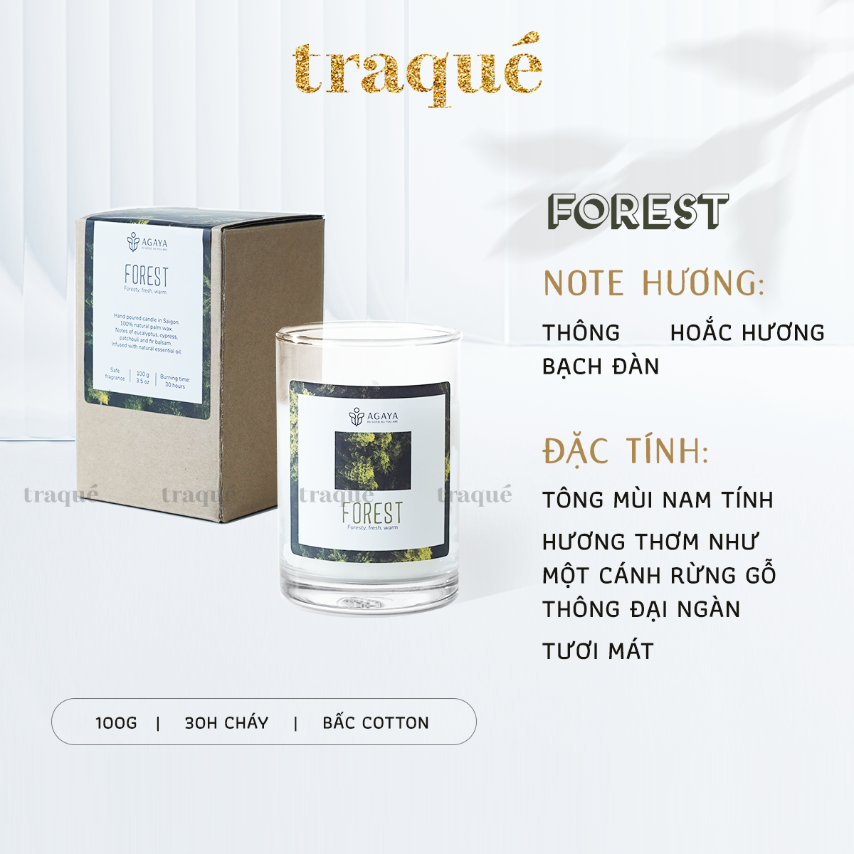 Nến thơm tinh dầu cao cấp không khói an toàn Candle Cup - FOREST/HƯƠNG RỪNG - S - 100G (KG NẮP)