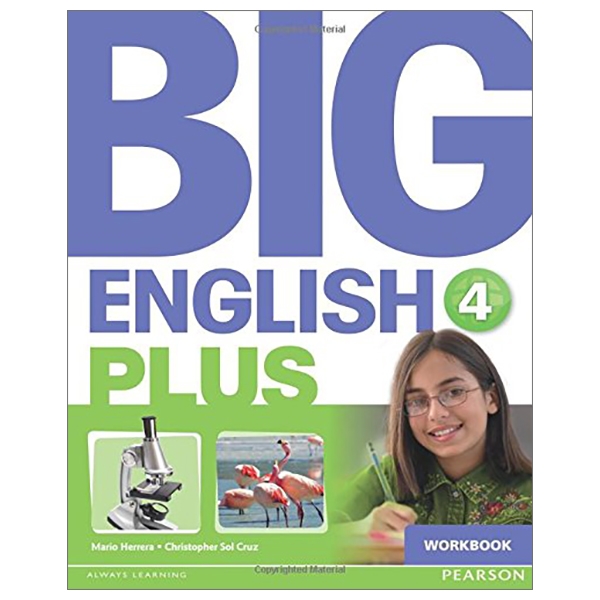 Big English Plus American Edition 4 Workbook