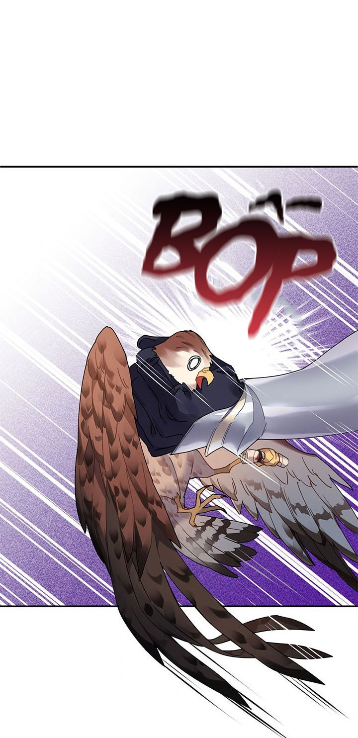 công chúa của loài chim chapter 2 65