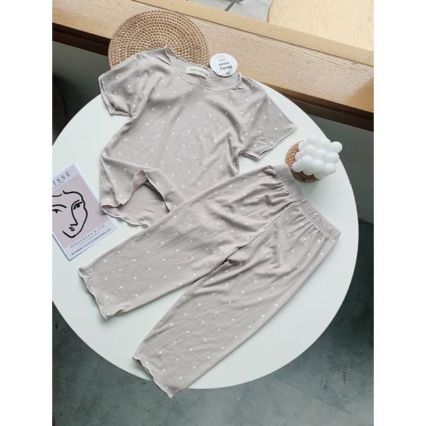 Bộ cotton co dãn cho bé 7-20kg