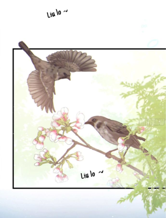 đêm sao chapter 54 3